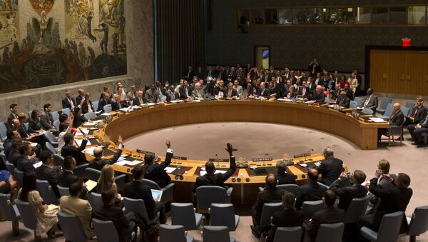 Consejo de Seguridad de la ONU aprueba la resolución sobre Irán - Sputnik Mundo