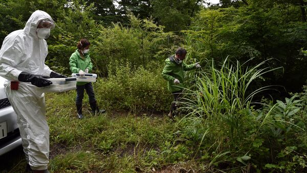 This photo taken on July 17, 2015 shows Greenpeace researchers (from L) Jan Vande Putte, Kazue Suzuki and Shaun Burnie moving towards the Ganbe Dam lakeside in the village of Iitate in Fukushima prefecture - Sputnik Mundo