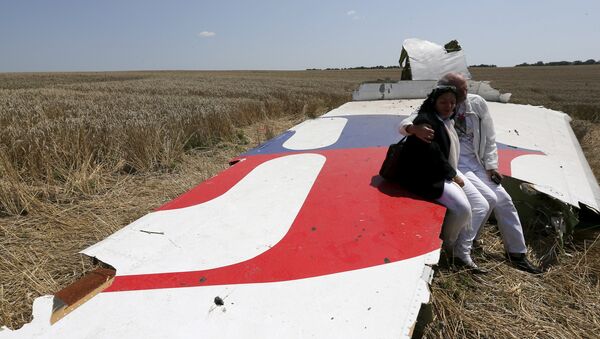 Lugar de la catástrofe del vuelo de MH17 en Ucrania - Sputnik Mundo