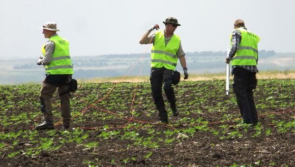 Investigadores en el lugar del siniestro del MH17 en el este de Ucrania - Sputnik Mundo