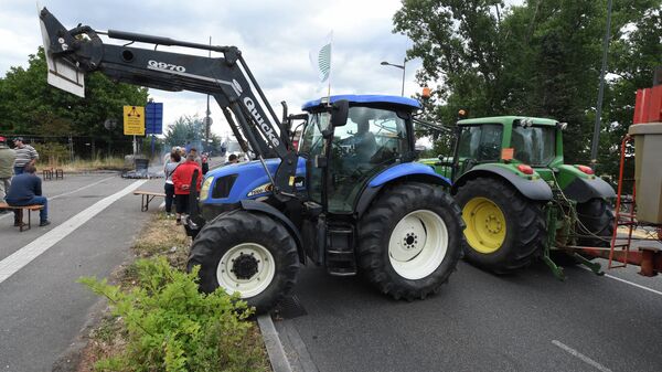 Agricultores franceses bloquean con sus tractores los pasos fronterizos con Alemania y España - Sputnik Mundo