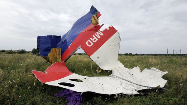 Lugar del accidente del vuelo MH17 de Malaysia Airlines - Sputnik Mundo