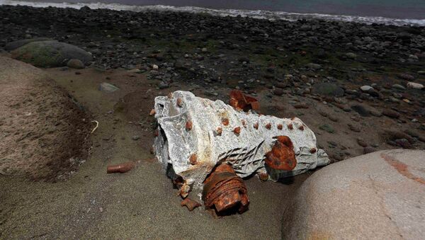 Escombros arrastrados hasta la playa de un isla en La Reunión (archivo) - Sputnik Mundo