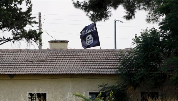 Bandera de Daesh en la frontera con Turquía - Sputnik Mundo
