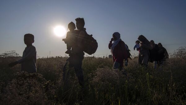 Detectan infección desconocida en 50 inmigrantes ilegales en Hungría - Sputnik Mundo
