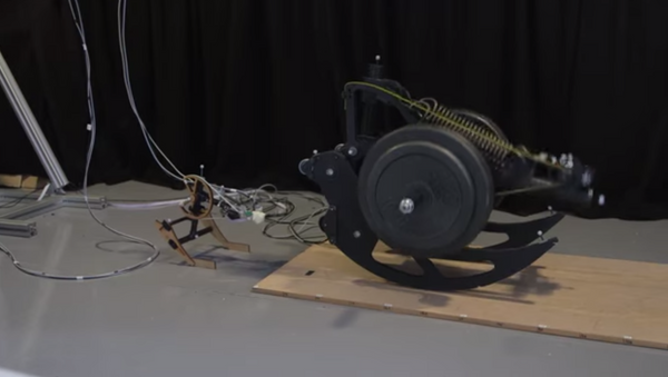 Un robot-madre construye robots-hijos - Sputnik Mundo