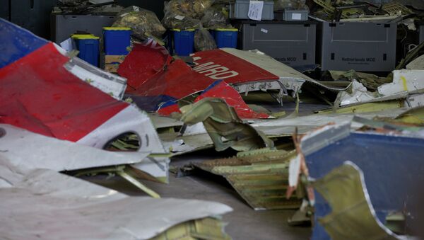 Escombros de Malaysia Airlines Flight 17 en Holanda - Sputnik Mundo