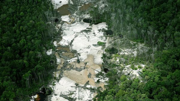 Mina de oro ilegal en la reserva natural Puinawai, Departamento de Guainía, Colombia - Sputnik Mundo