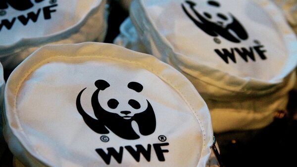 WWF entrega al Gobierno de Tailandia 500.000 firmas para prohibir el tráfico de marfil - Sputnik Mundo