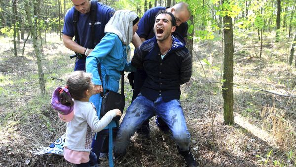 Detención de inmigrantes ilegales sirios en Hungría - Sputnik Mundo