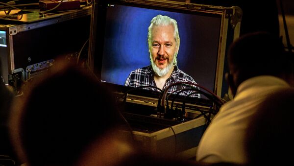 WikiLeaks founder Julian Assange participates by videoconference in the French Green party EELV summer camp, on August 21, 2015 in Villeneuve-d'Asq. - Sputnik Mundo