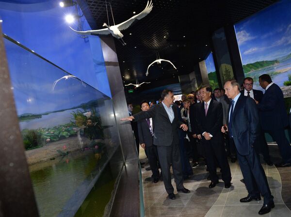 El presidente Putin visita el oceanográfico de la isla Russki - Sputnik Mundo