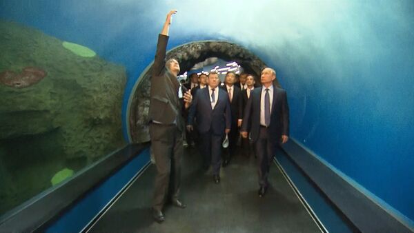 Putin visita un oceanográfico - Sputnik Mundo