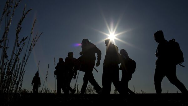 Bulgaria bloquea su frontera para inmigrantes ilegales, según primer ministro - Sputnik Mundo