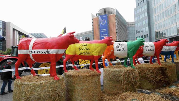 Protesta de granjeros europeos en Bruselas, Bélgica, el 7 de septiembre, 2015 - Sputnik Mundo