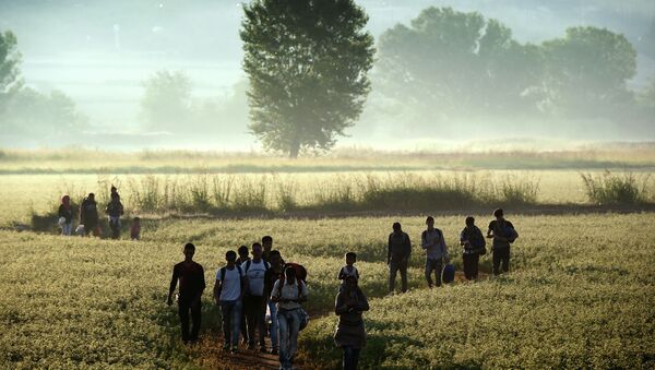 Migrants walk through a field to cross the border from Greece to Macedonia near the Greek village of Idomeni on August 29, 2015 - Sputnik Mundo