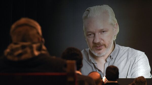 Julian Assange, fundador de Wikileaks - Sputnik Mundo