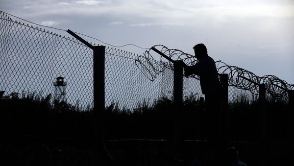 Construcción de una valla fronteriza entre Hungría y Serbia - Sputnik Mundo