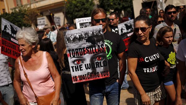 Manifestaciones de protesta contra la fiesta del Toro de la Vega en la que se mata un toro con lanzas - Sputnik Mundo