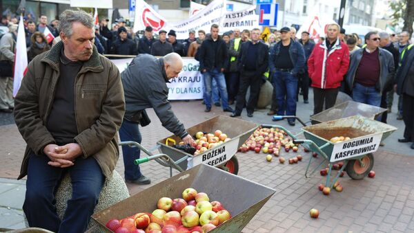 Protestas de los granjeros afectados por las antisanciones rusas - Sputnik Mundo