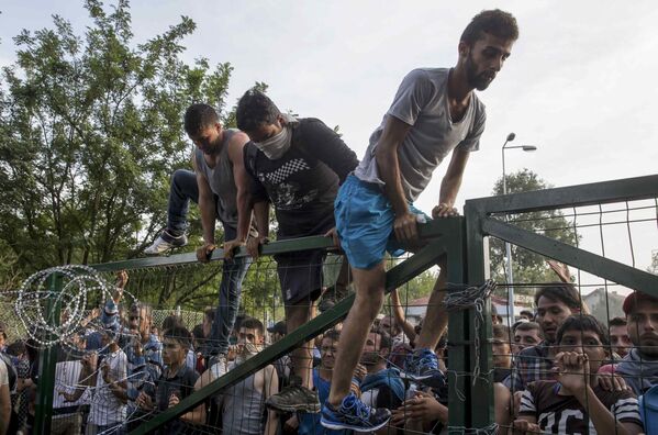 Choques entre inmigrantes y policías en la frontera serbio-húngara - Sputnik Mundo
