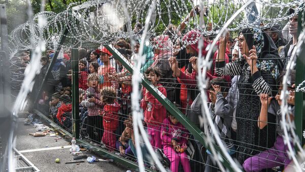 Refugiados en la frontera de Hungría con Serbia cerca del pueblo de Horgos - Sputnik Mundo
