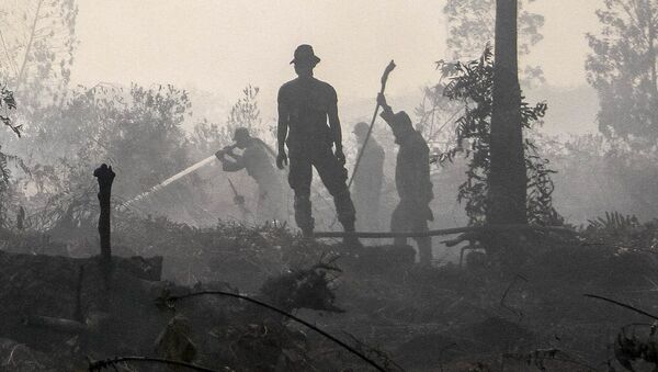 Policía de Indonesia durante los incendios forestrales en Kampar - Sputnik Mundo