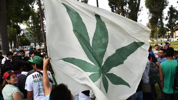Gente protesta por legalización de marihuana - Sputnik Mundo