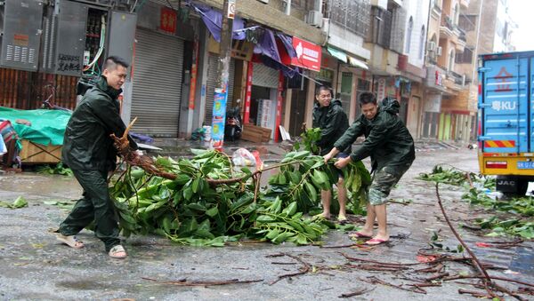 People try to remove a bough from a street as Typhoon Mujigae hits Maoming, Guangdong province, October 4, 2015. - Sputnik Mundo