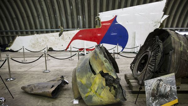 Informe técnico definitivo de la catástrofe del MH17 - Sputnik Mundo