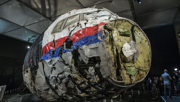 Parte del avión que realizaba el vuelo MH17 de Malaysa Airlines - Sputnik Mundo