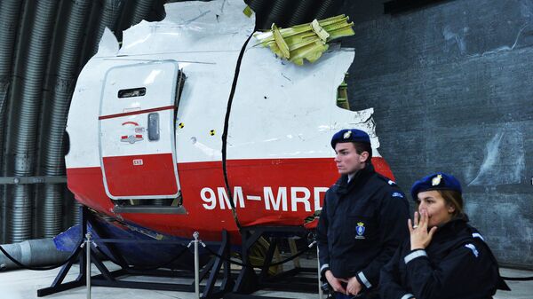 Vicecanciller ruso califica de preconcebido el informe de Holanda sobre MH17 - Sputnik Mundo