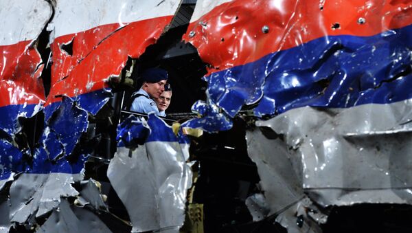 Restos del avión MH17 siniestrado en el este de Ucrania - Sputnik Mundo
