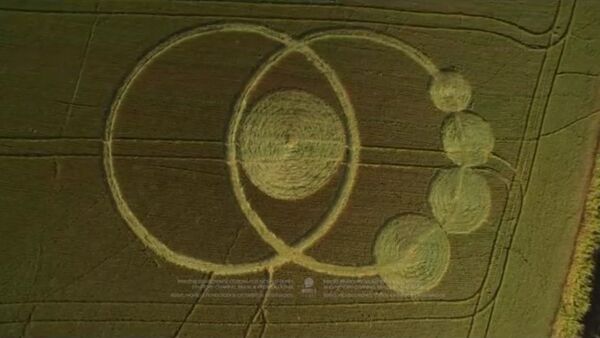 Polémica en Brasil por la extraña aparición de círculos extraterrestres en las cosechas - Sputnik Mundo