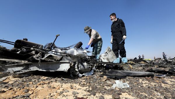 Investigadores rusos examinan los restos del avión ruso Airbus-321 siniestrado en Egipto - Sputnik Mundo