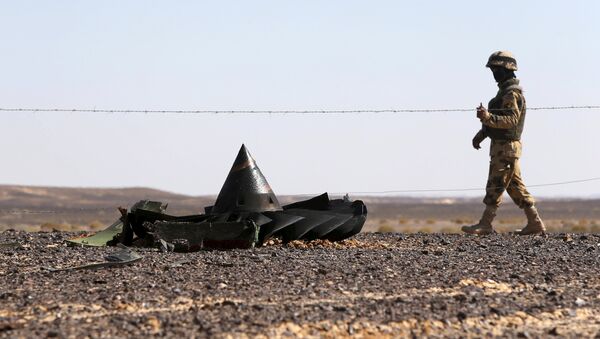 Soldado de Ejército egipcio vigila el lugar de siniestro de avión ruso A321 - Sputnik Mundo