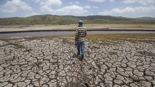 Sequía causada por fenómeno El Niño (Archivo) - Sputnik Mundo
