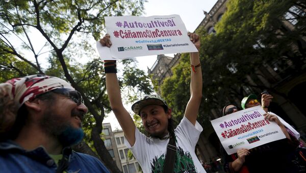 Manifestación en apoyo a la legalización de la marihuana, México - Sputnik Mundo