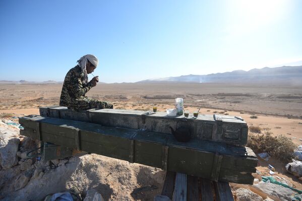 El Ejército sirio ocupa posiciones cerca de Palmira - Sputnik Mundo