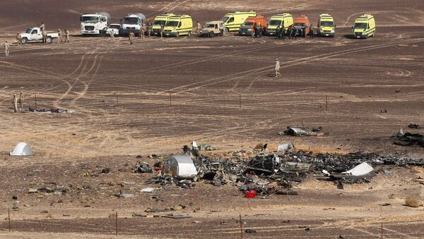 Restos del avión ruso Airbus-321 siniestrado en Egipto - Sputnik Mundo