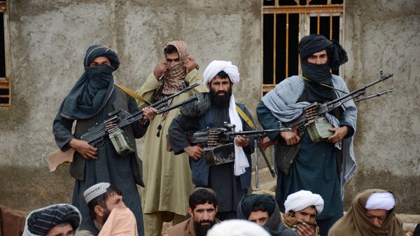 Los talibanes en Farah, Afganistán - Sputnik Mundo