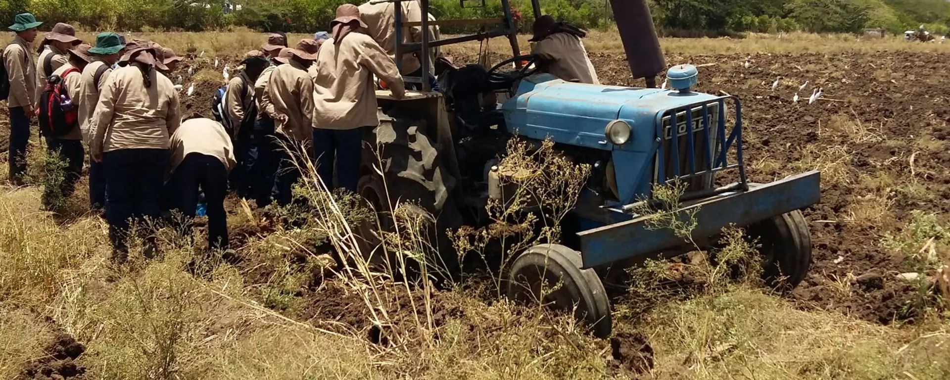 Un grupo de jóvenes reinsertados de las FARC, el ELN y las AUC participan en su capacitación como técnicos en fruticultura en una hacienda del Valle del Cauca, en el suroeste de Colombia, en el marco de un plan de reinserción que apoya el Gobierno, la empresa privada del país y organismos internacionales en el camino hacia la paz.  - Sputnik Mundo, 1920, 20.01.2022