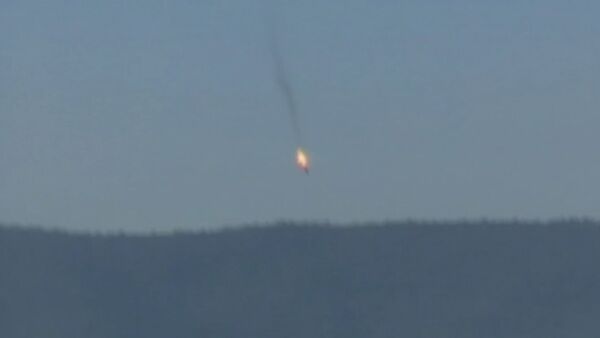 El avión derribado en la frontera turco-siria - Sputnik Mundo