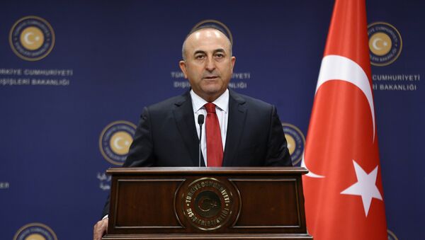 Turkish Foreign Minister Mevlut Cavusoglu  - Sputnik Mundo