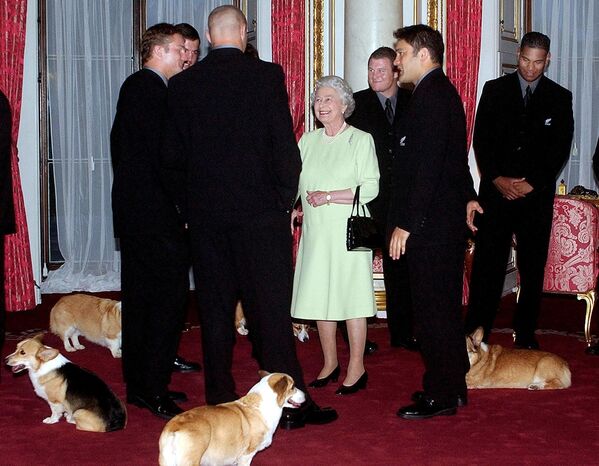 Isabel es una gran aficionada a los perros de la raza corgi: de hecho, gracias a ella, se convirtieron en uno de los símbolos de la monarquía británica. En la foto: Isabel II recibe a la selección de rugby de Nueva Zelanda en el Palacio de Buckingham, en 2002. - Sputnik Mundo