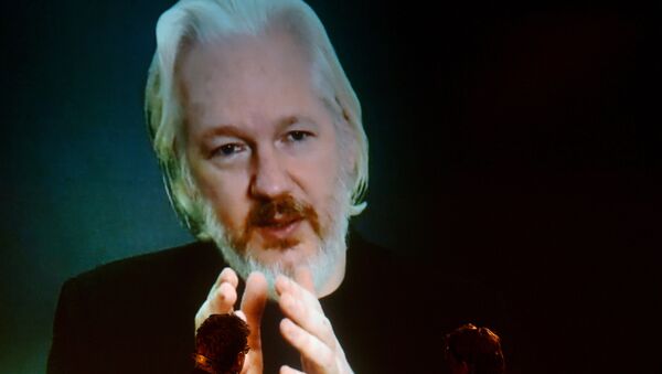 Julian Assange, founder and public face of WikiLeaks - Sputnik Mundo