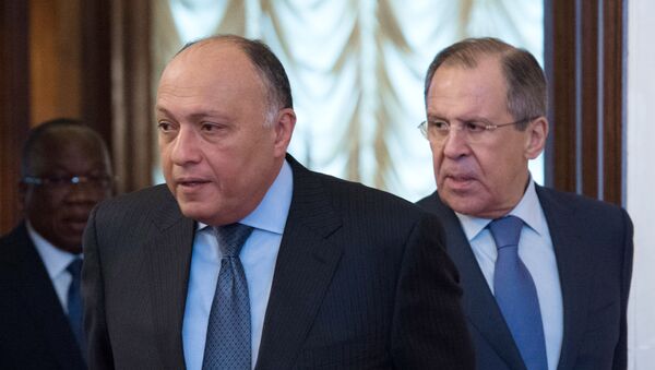 El ministro egipcio de Exteriores, Sameh Shoukry, y el canciller ruso, Serguéi Lavrov (archivo) - Sputnik Mundo