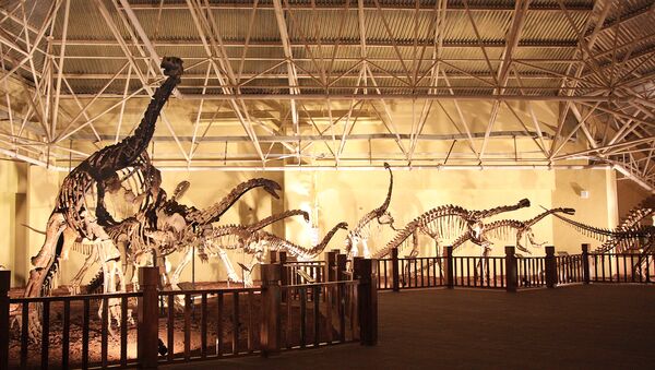 Fósiles de un Lufengosaurio (archivo) - Sputnik Mundo