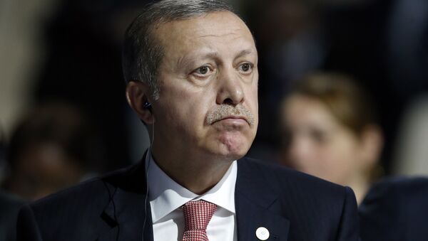 Erdogan: ¿Persona non grata para EEUU? - Sputnik Mundo