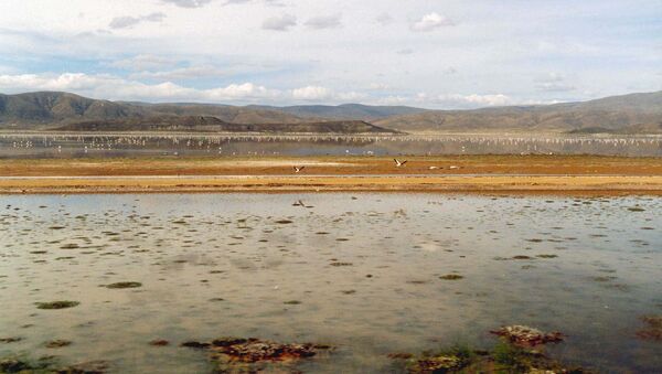 Lago Poopó (Archivo) - Sputnik Mundo